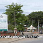 Sena Sofia plus Girón Santander