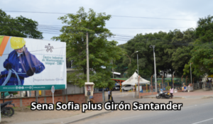 Sena Sofia plus Girón Santander