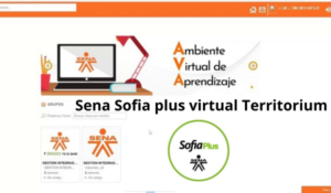 Sena Sofia plus virtual Territorium