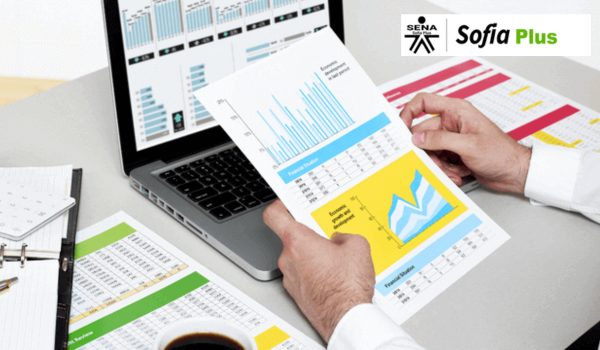 Sena Sofia plus contabilidad y finanzas